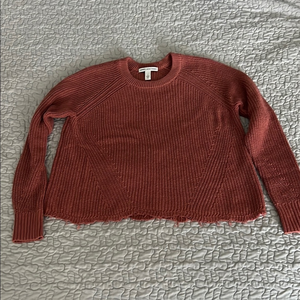 Autumn Cashmere Terracotta Crew Neck Sweater
